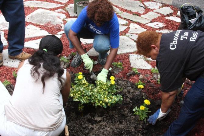 Betty Jean Kerr People's Health Centers Garden