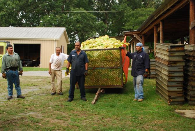 Farmworkers