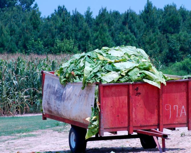 Harvest