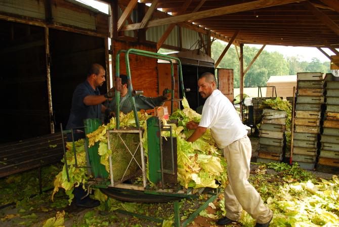 Farmworkers