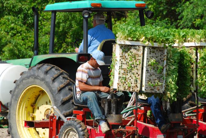 Farmworkers