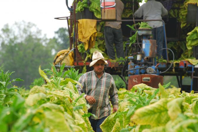 In the Field