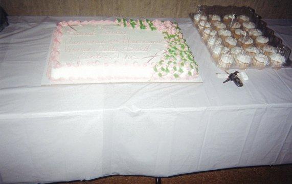 Cake and Cupcakes