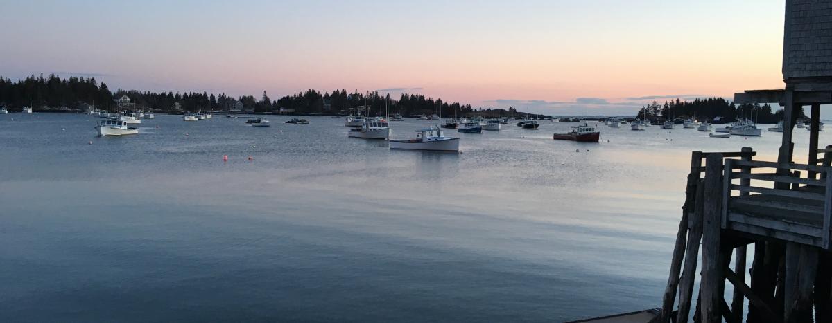 Islands Community Medical Services