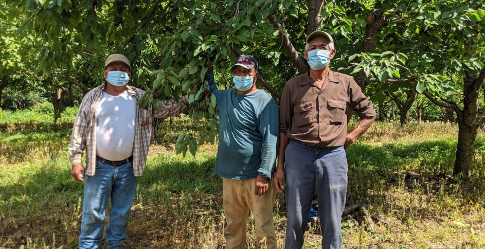 Agricultural workers (Brockport, New York). Photo courtesy of Oak Orchard Health. 